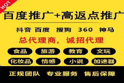 案例分析：高效信息流广告投放策略